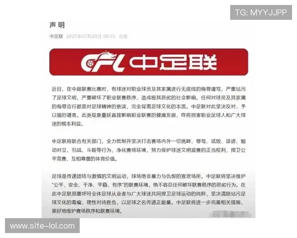 足球迷袭击球星事件背后的真相与影响揭示:粉丝狂热引发的暴力冲突分析